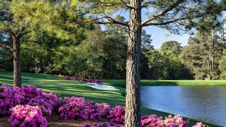 A Closer Look At The Golf Pro's Wealth
