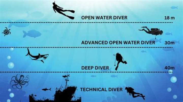 A Deep Dive Into His Height