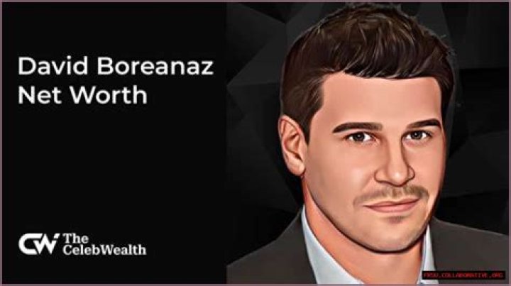 Exploring The Impressive David Boreanaz Net Worth
