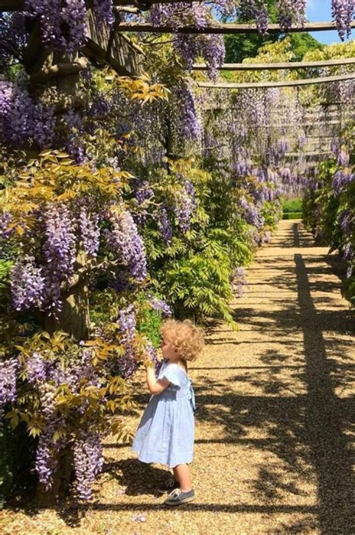 Lady Iris Marina: A Fascinating Personality