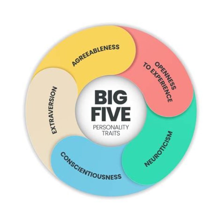 Uncovering The Wealth Of A Successful Personality